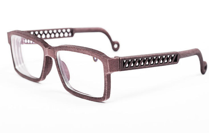 Rise Eyewear 3D Model